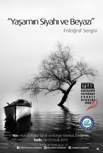 EFSAD_Sergi